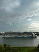 WhatsApp Image 2026-02-12 at 09.23.37.jpeg